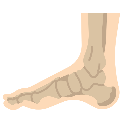 bones 8889532