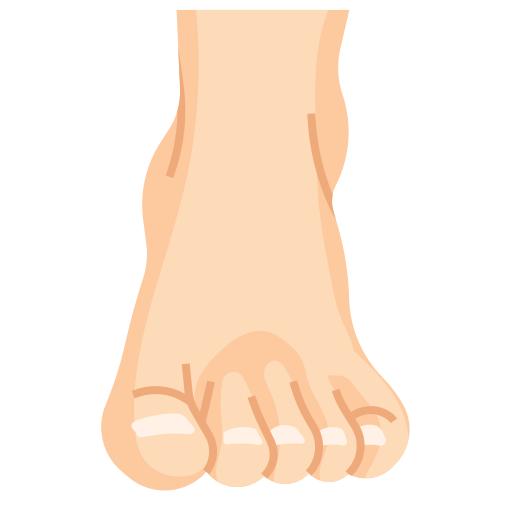 feet 8889531